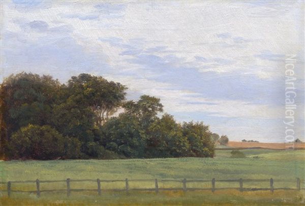 Sommerlandschaft Bei Jyderup Auf Seeland Oil Painting by Vilhelm Kyhn