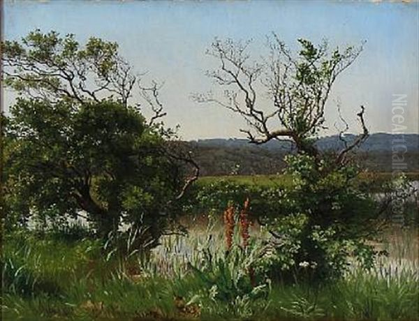 Landscape From Ry, Denmark Oil Painting by Vilhelm Kyhn