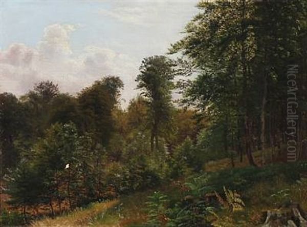 Forest Scape Oil Painting by Vilhelm Kyhn