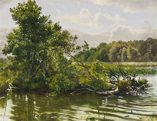 Weidenbruch Am Seeufer Oil Painting by Vilhelm Kyhn