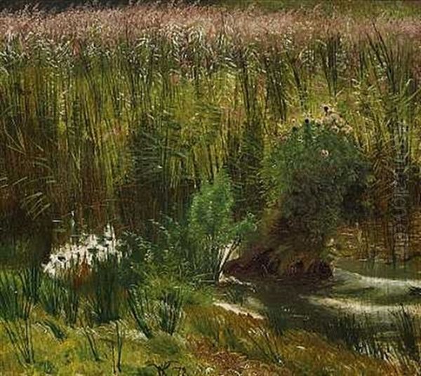 Studie Af Siv (ved Lyngby So?) Oil Painting by Vilhelm Kyhn