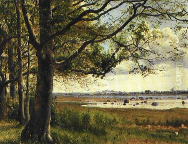 Fra Falsters Kyst Oil Painting by Vilhelm Kyhn