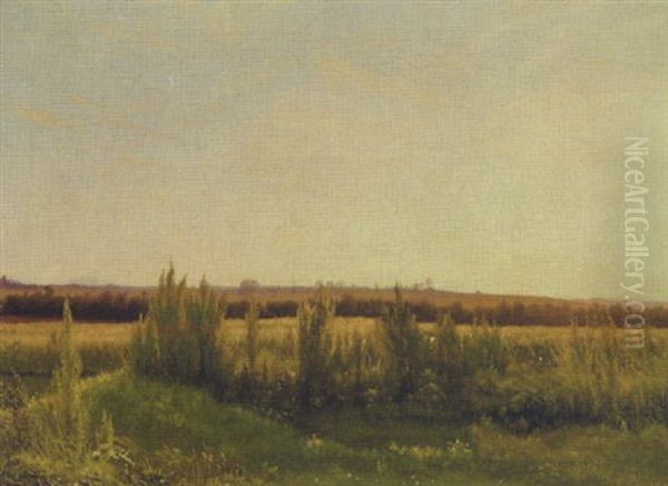Marklandskab, Sommer Oil Painting by Vilhelm Kyhn