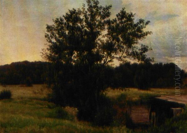 Parti Fra Ellekrat I Rold Skov, I Baggrunden Gylden Aftenhimmel Oil Painting by Vilhelm Kyhn