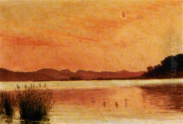 Solnedgang Over En So Oil Painting by Vilhelm Kyhn