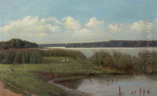 Dansk Sommerlandskab, Parti Fra Sobred Oil Painting by Vilhelm Kyhn