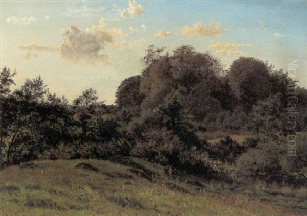 Landskab Ved Frederiksborg Oil Painting by Vilhelm Kyhn