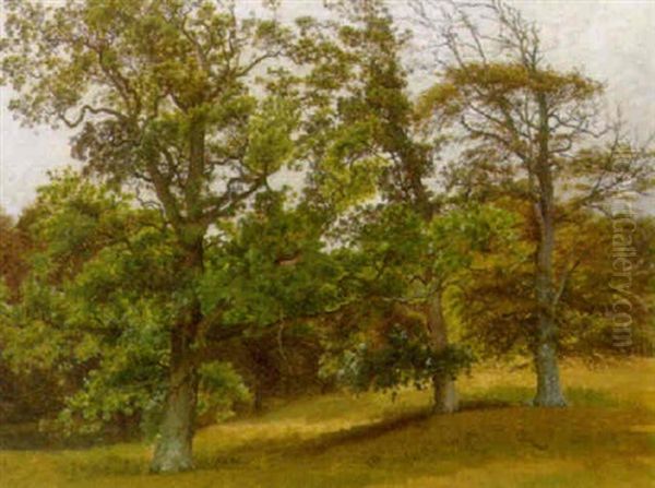 Skovparti Oil Painting by Vilhelm Kyhn