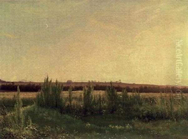 Landskap Fran Vester Bisholt Oil Painting by Vilhelm Kyhn