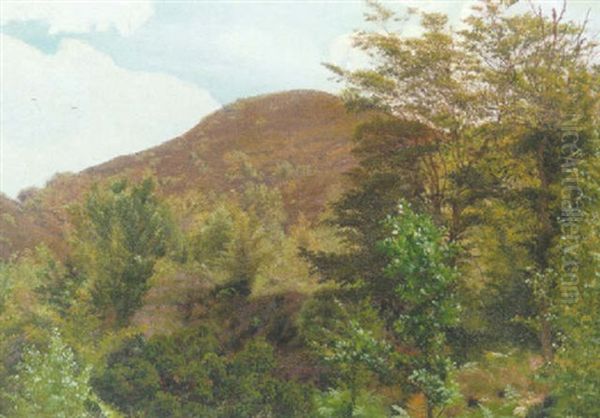 Parti Fra Himmelbjerget Oil Painting by Vilhelm Kyhn