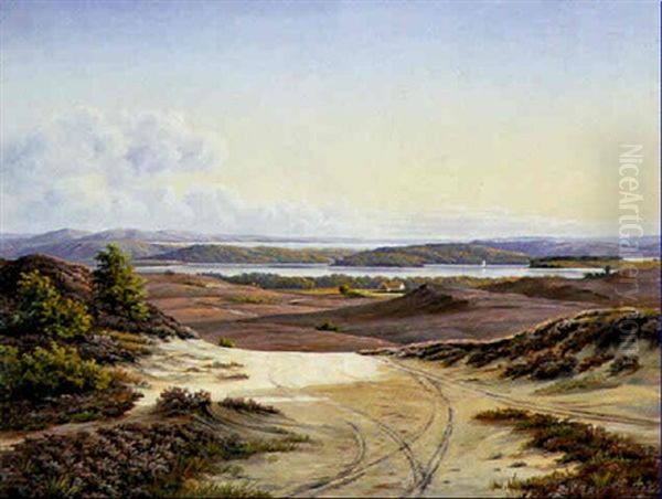 Udsigt Over Himmelbjergsoerne Ved Ry Oil Painting by Vilhelm Kyhn