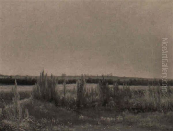 Marklandskab, Sommer. Vester Bisholt Ved Horsens Oil Painting by Vilhelm Kyhn