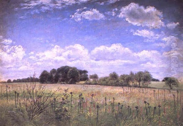 Marklandskab, Sommerdag Oil Painting by Vilhelm Kyhn