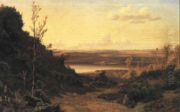 Parti Fra Himmelbjerget, Man Ser Over Mod Laven Oil Painting by Vilhelm Kyhn