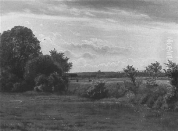 Sommertag. Blick Uber Bluhende Wiesen Oil Painting by Vilhelm Kyhn