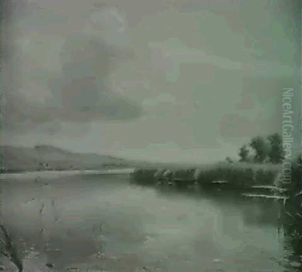 Parti Fra Egnen Ved Silkeborg Oil Painting by Vilhelm Kyhn