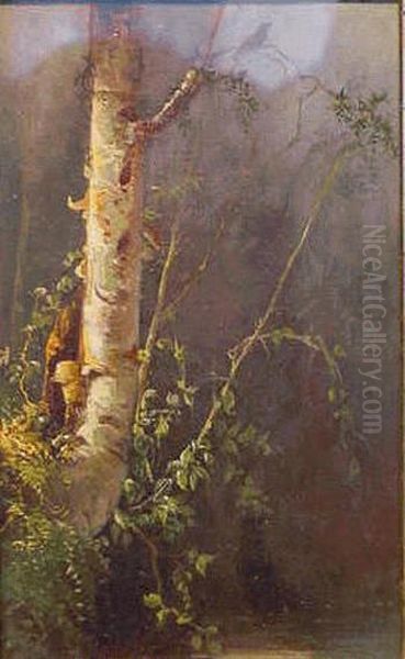 Birch Study Oil Painting by Julie (Hart) Beers