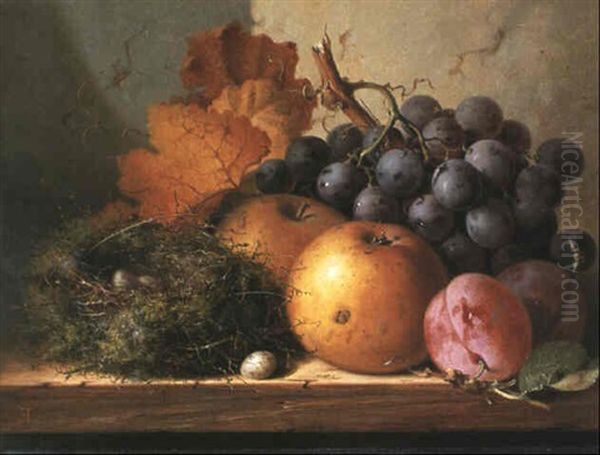 Still Life With Grapes, Apples, Plums And A Bird's Nest On Wood Ledge Oil Painting by Edward Ladell