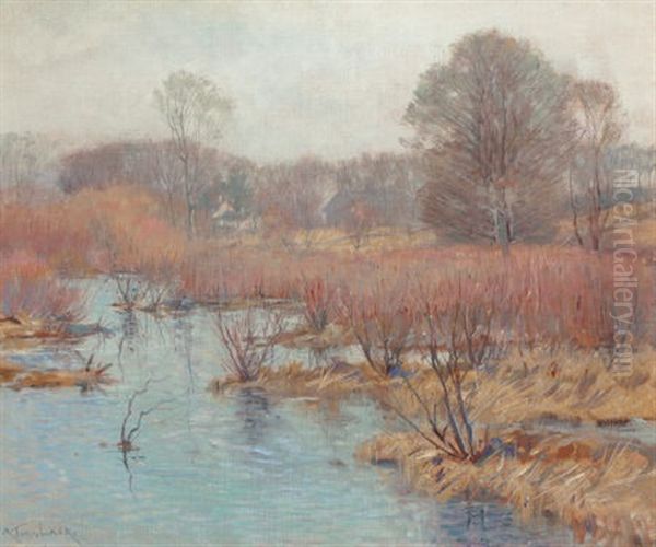 Spring Wetlands Oil Painting by Alexander Theobald Van Laer
