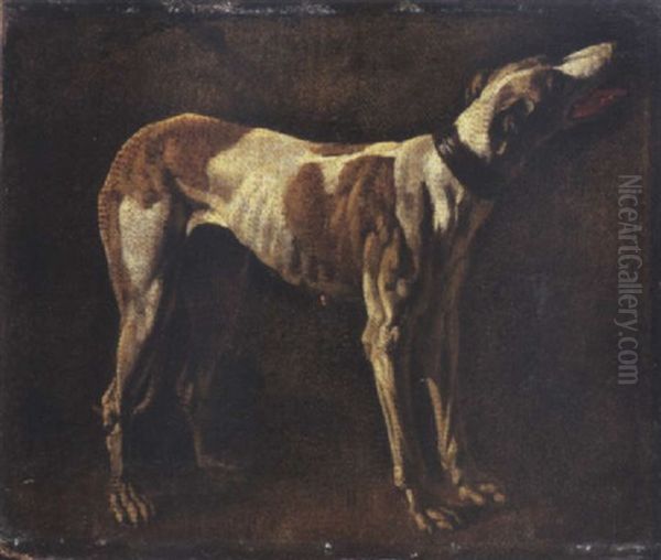 A Greyhound Oil Painting by Pieter Jacobsz Van Laer
