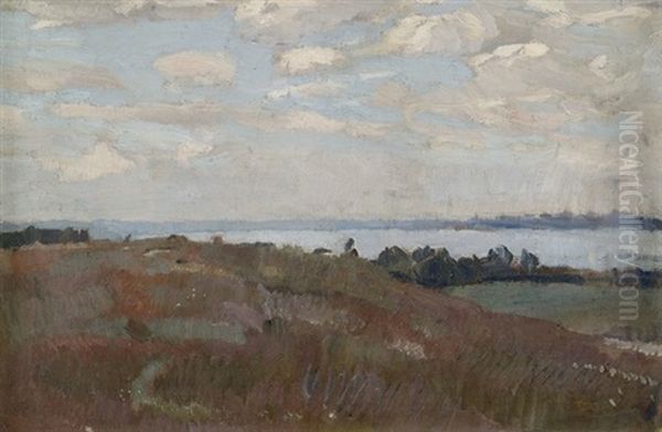 Landschaft Am Ammersee Oil Painting by Christian Landenberger