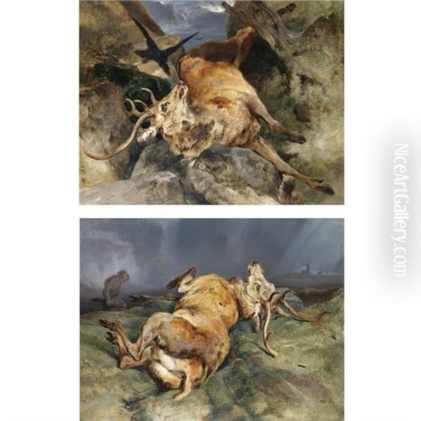 A Deer Fallen From A Precipice (+ A Deer Just Shot; Pair) Oil Painting by Sir Edwin Henry Landseer