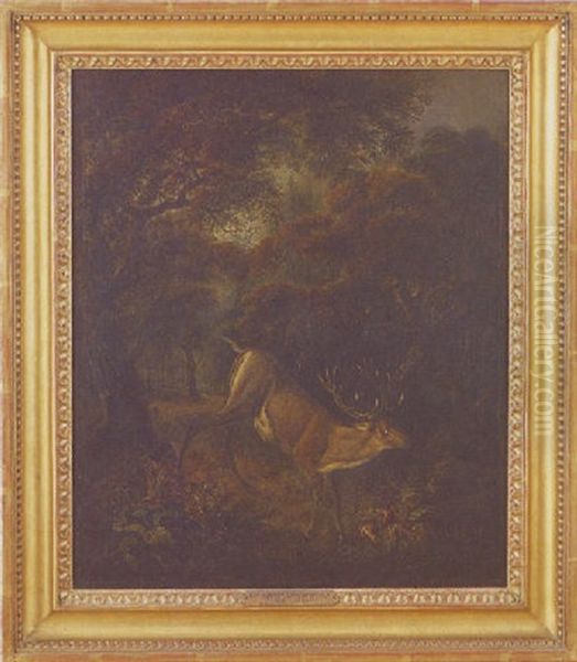Landscape With Stag At Bay In A Dense Forest Oil Painting by Sir Edwin Henry Landseer