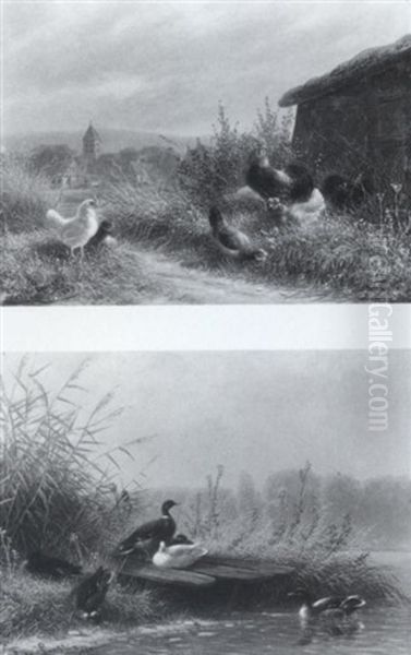 Hahn Und Hennen In Der Landschaft Oil Painting by Fritz Lange