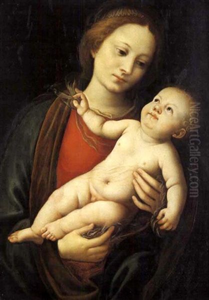 Madonna Con Il Bambino Oil Painting by Bernardino Lanino