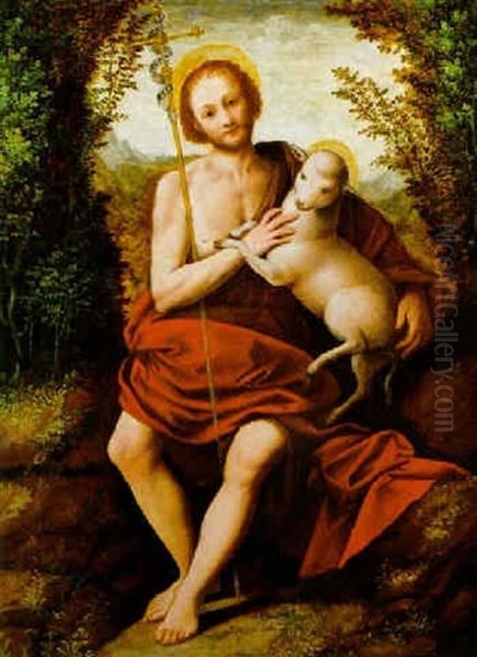 San Giovanni Battista Oil Painting by Bernardino Lanino