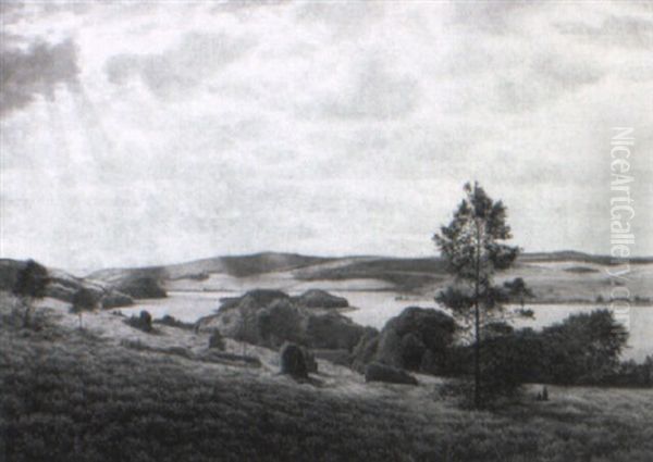 Thors+ Bakkerne Ved Virklund, Sommerdag Oil Painting by Adolf Alfred Larsen