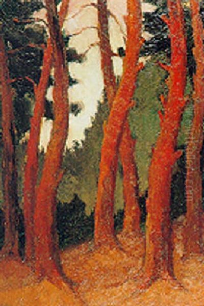 Bois De Coniferes Oil Painting by Lucien Leclercq