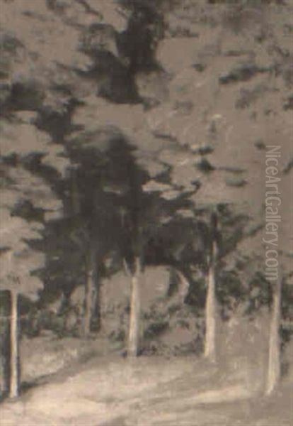 Sous-bois Oil Painting by Ozias Leduc