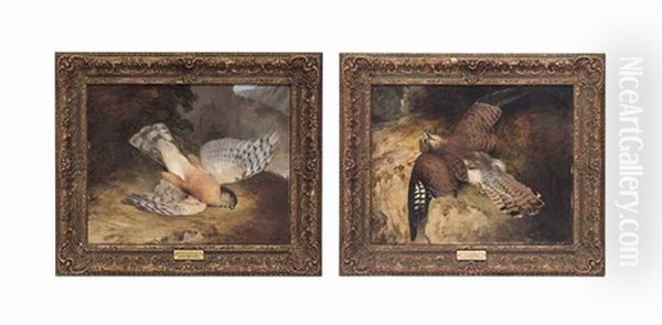 A Dead Peregrine Falcon; And A Dead Kestrel (pair) Oil Painting by Frederick Richard Lee, R.A.