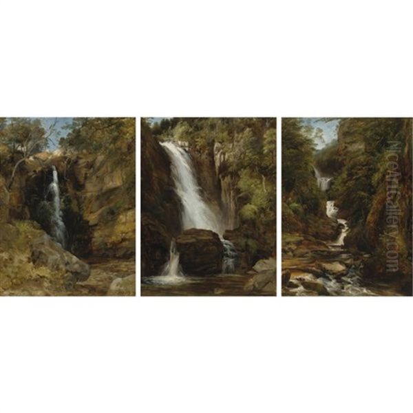 A View Of The Falls Of The Valley Of Desolation, Bolton Abbey, North Yorkshire (+ 2 Others; 3 Works) Oil Painting by Frederick Richard Lee, R.A.