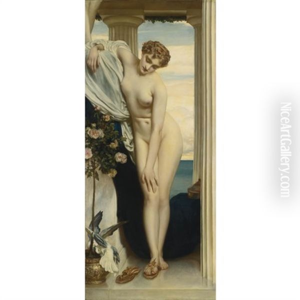 Venus Disrobing For The Bath Oil Painting by Lord Frederick Leighton