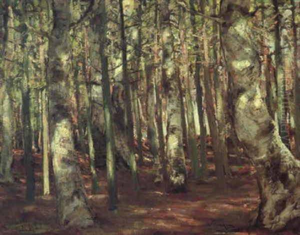 Sonne Im Walde Oil Painting by Walter Leistikow