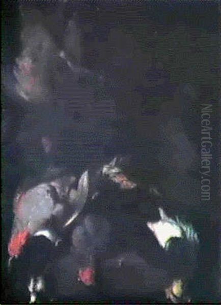 Stilleben Med Doda Faglar Oil Painting by Cornelis van Lelienbergh