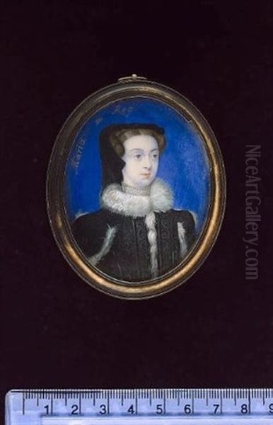 A Noblewoman (mary Queen Of Scots?), Wearing Black Dress With White Fur Edging To The Neck And Sleeves, Pearl Edged Lace Choker And Black Cap Oil Painting by Bernard Lens III