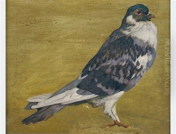 Pigeon Oil Painting by Maximilian, Max Lenz