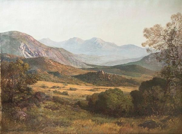 Painting; W6gme Oil Painting by Leonard Lester