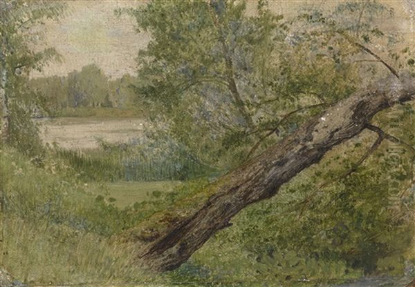 Tree By The Lake Oil Painting by Isaak Ilyich Levitan