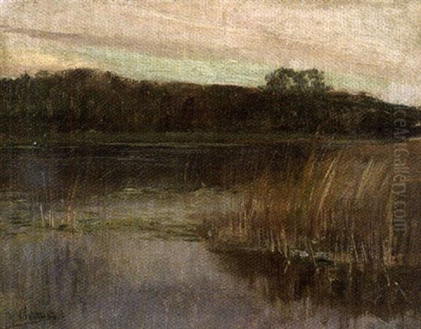 Paysage Lacustre Oil Painting by Isaak Ilyich Levitan