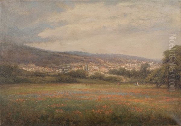 View Of Santa Barbara Oil Painting by Mary Amanda Lewis