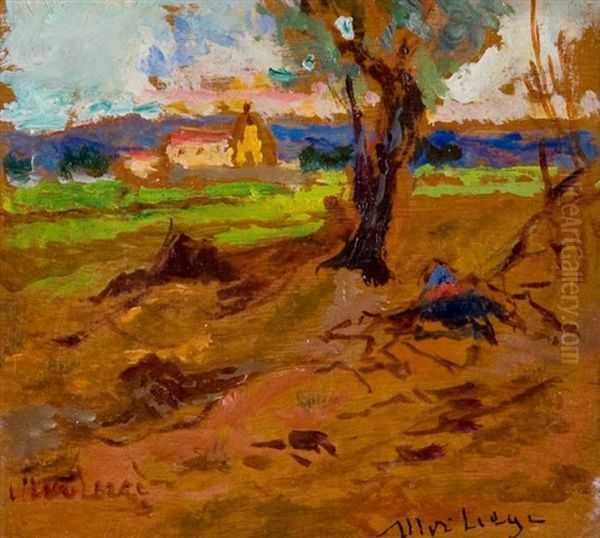 Campagna Livornese Oil Painting by Ulvi Liegi