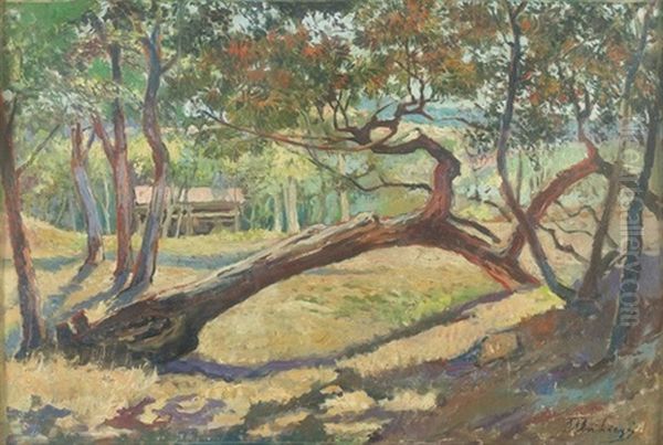 Sonnige Waldlandschaft Mit Umgesturztem Baum Oil Painting by Ulvi Liegi