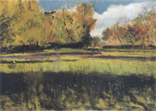 Alle Casscine Di Firenze Oil Painting by Ulvi Liegi