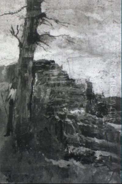 Paesaggio Dell'arno Nei Pressi Di Bellariva, Firenze Oil Painting by Ulvi Liegi