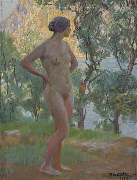 Stehender Weiblicher Akt Oil Painting by Hans Lietzmann