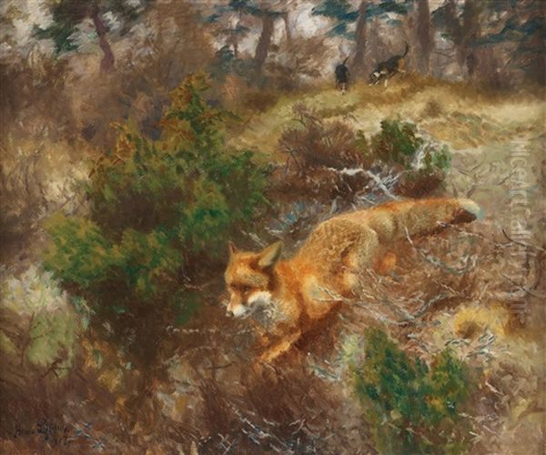 Fox And Hounds Oil Painting by Bruno Andreas Liljefors